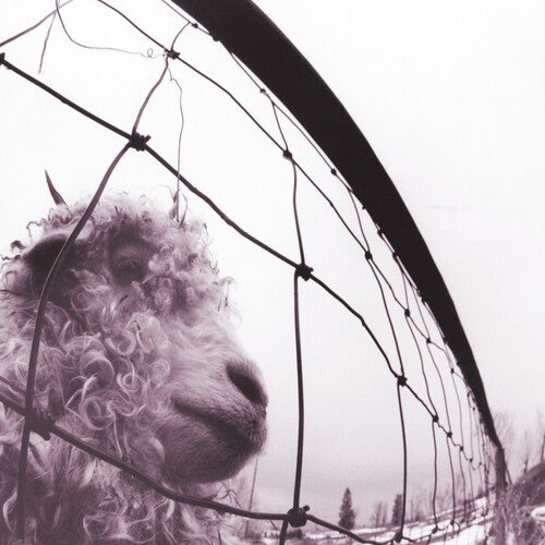 Pearl Jam: Vs. (30th Anniversary Edition) { Vinyl LP }