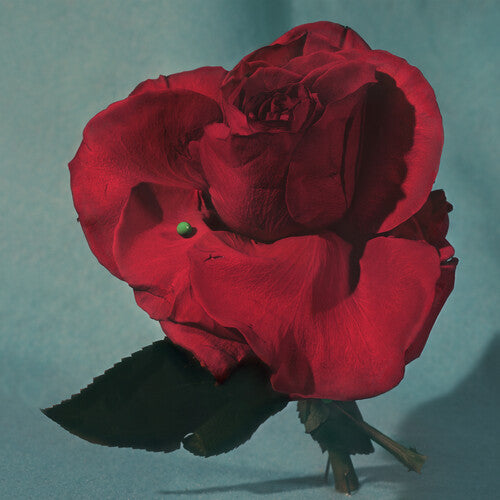 METZ: Up on Gravity Hill - Clear w/ Red { Vinyl LP }
