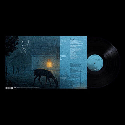 Dermot Kennedy: I've Told The Trees Everything { Vinyl LP }