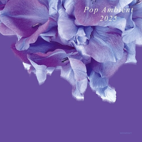 Various Artists: Pop Ambient 2025 { Vinyl LP }