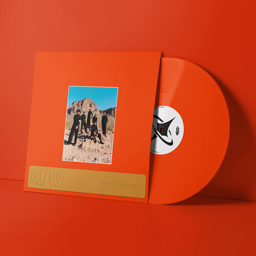 Leisure: Welcome to the Mood { Vinyl LP }