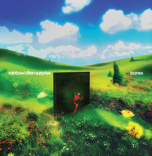 Rainbow Kitten Surprise: bones (Black Vinyl) { Vinyl LP }