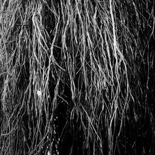 Eraldo Bernocchi: Nocturnal Rainforest { Vinyl LP }