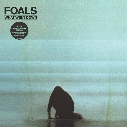 Foals: What Went Down { Vinyl LP }