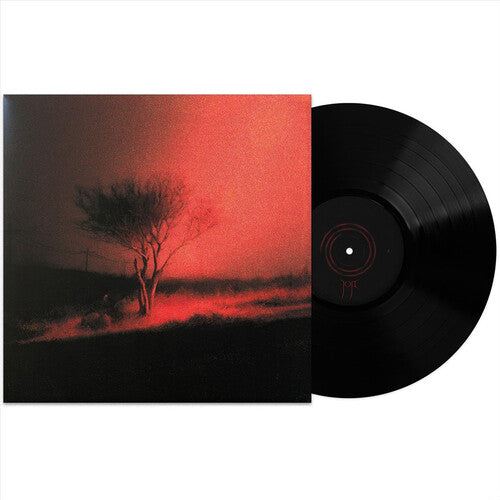 Joji: Piss In The Wind { Vinyl LP }