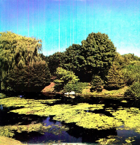 Shellac: Terraform { Vinyl LP }