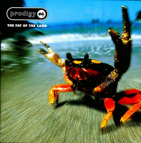 Prodigy: The Fat Of The Land { Vinyl LP }