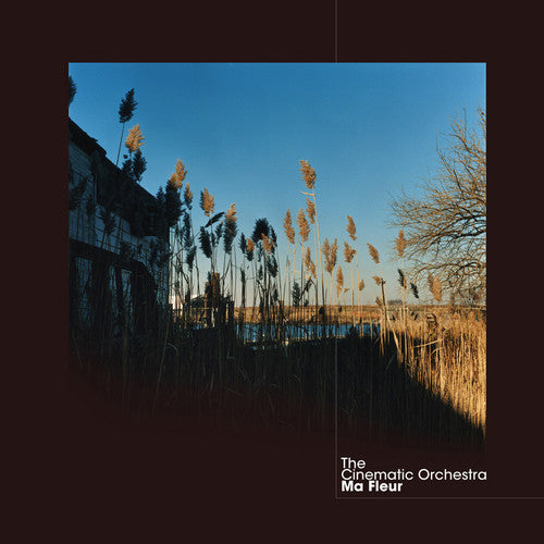 The Cinematic Orchestra: Ma Fleur { Vinyl LP }