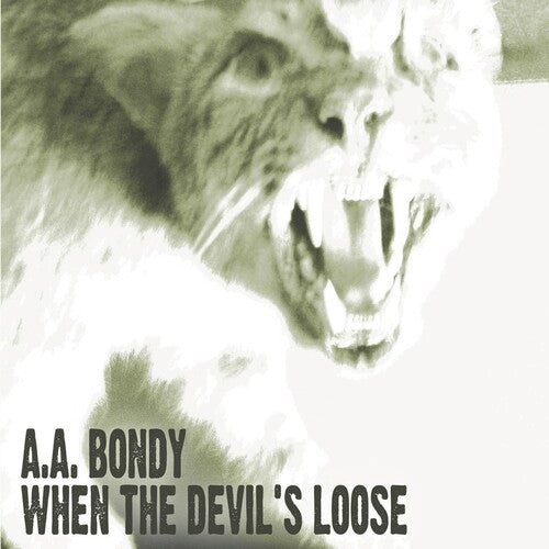 A.A. Bondy: When the Devil's Loose { Vinyl LP }