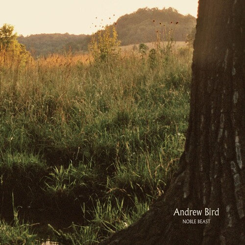 Andrew Bird: Noble Beast { Vinyl LP }