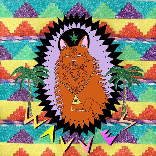 Wavves: King of the Beach { Vinyl LP }