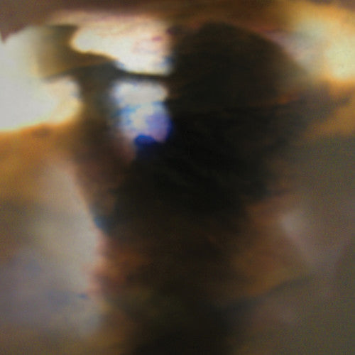 Animal Collective: Fall Be Kind { Vinyl LP }