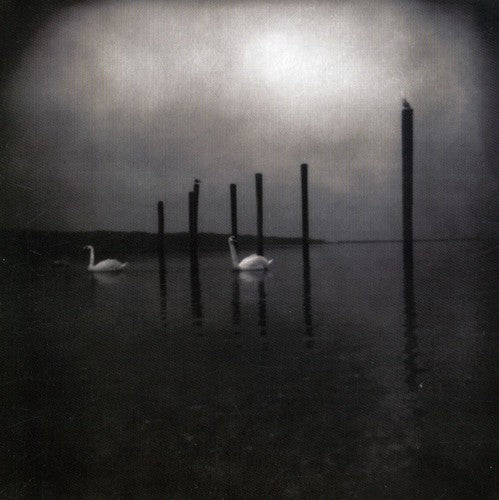 Om: Conference of the Birds { Vinyl LP }