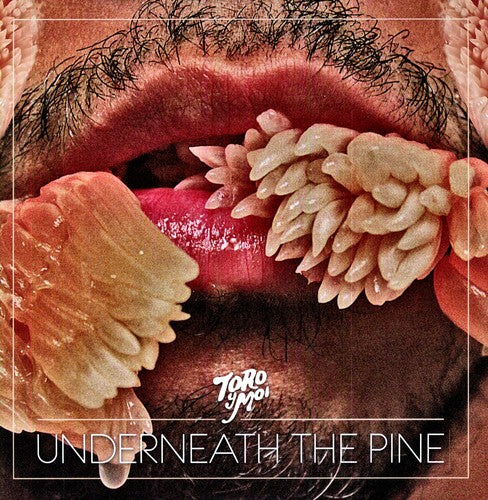 Toro y Moi: Underneath the Pine { Vinyl LP }