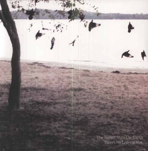The Tallest Man on Earth: There's No Leaving Now { Vinyl LP }