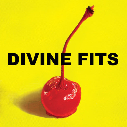 Divine Fits: A Thing Called Divine Fits { Vinyl LP }