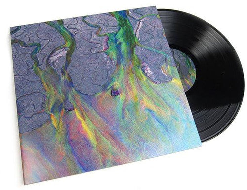 Alt-J: An Awesome Wave { Vinyl LP }