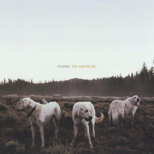 Foxing: Albatross { Vinyl LP }