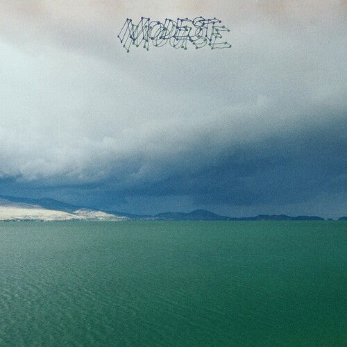 Modest Mouse: Fruit That Ate Itself { Vinyl LP }