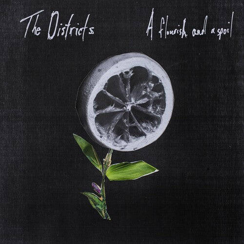 The Districts: Flourish and a Spoil { Vinyl LP }