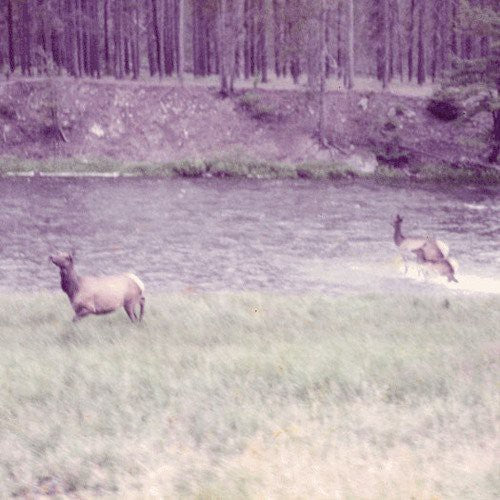 Seahaven: Ghost + Acoustic Sessions { Vinyl LP }