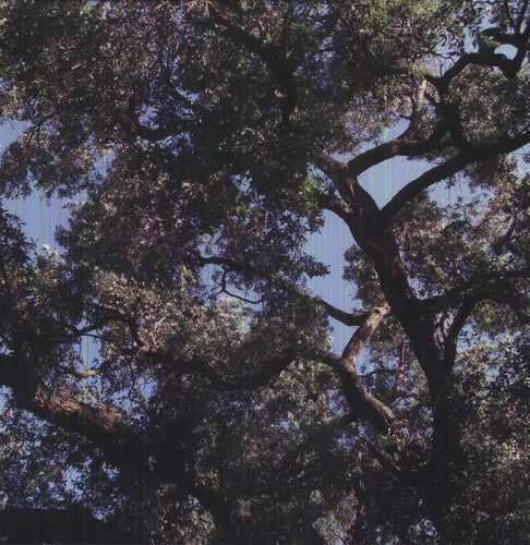 Charles Manson: Trees { Vinyl LP }