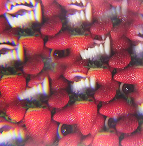 Thee Oh Sees: Floating Coffin { Vinyl LP }
