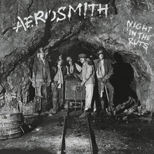 Aerosmith: Night in the Ruts { Vinyl LP }