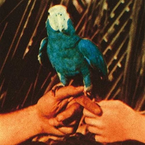 Andrew Bird: Are You Serious { Vinyl LP }