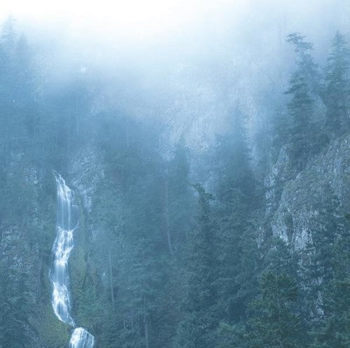 Wolves in the Throne Room: Diadem Of 12 Stars { Vinyl LP }