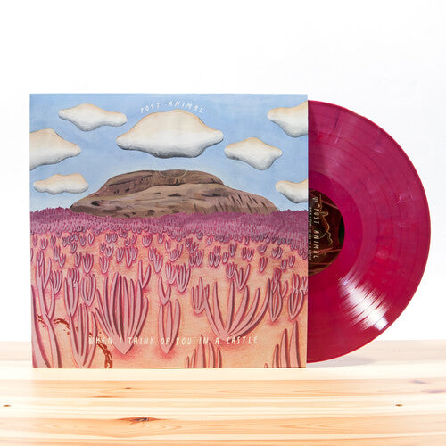 Post Animal: When I Think Of You In A Castle ( { Vinyl LP }