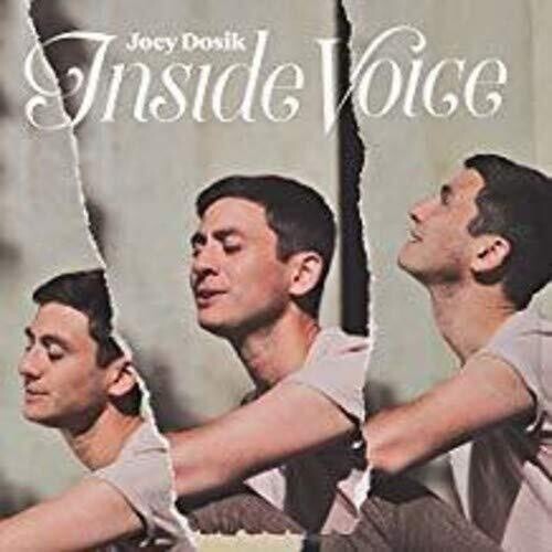Joey Dosik: INSIDE VOICE { Vinyl LP }