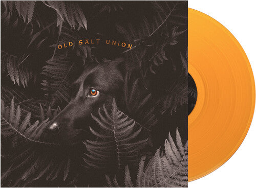 Old Salt Union: Where The Dogs Don't Bite { Vinyl LP }