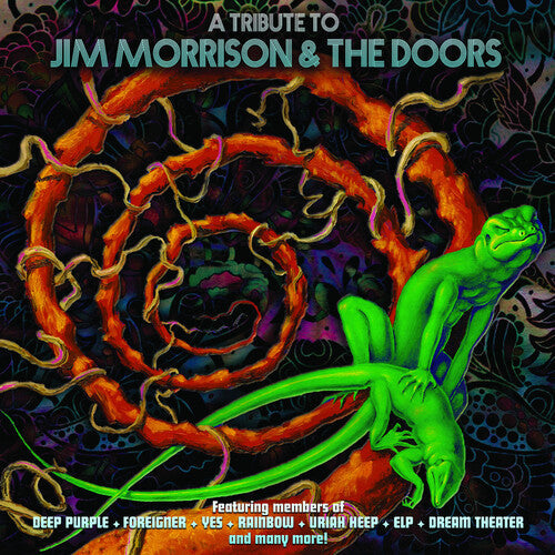 Various Artists: A Tribute To Jim Morrison & The Doors (Various Artists) { Vinyl LP }