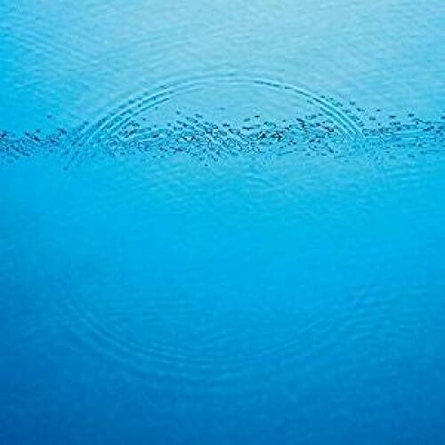Caribou: Suddenly { Vinyl LP }