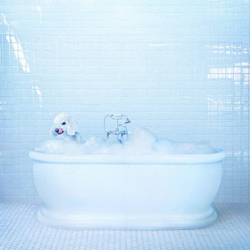 Frankie Cosmos: Vessel { Vinyl LP }