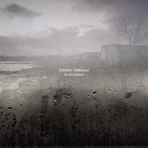 Joshua Trinidad: In November { Vinyl LP }