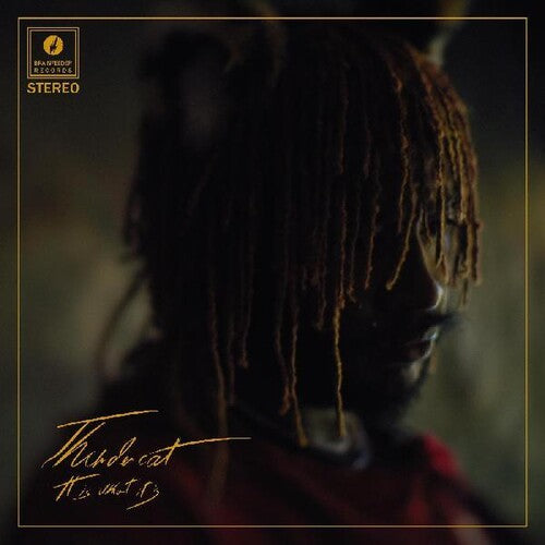 Thundercat: It Is What It Is { Vinyl LP }