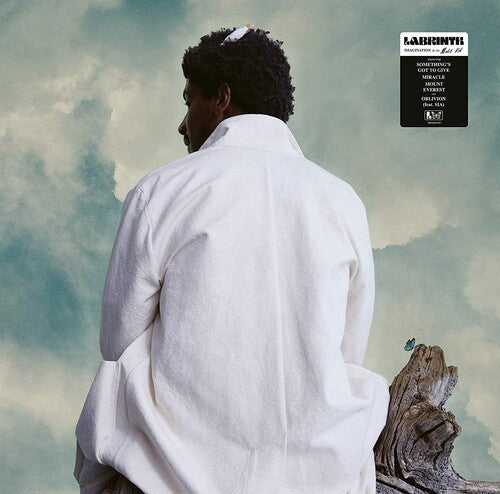 Labrinth: Imagination & The Misfit Kid { Vinyl LP }