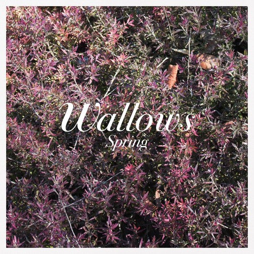 Wallows: Spring { Vinyl LP }