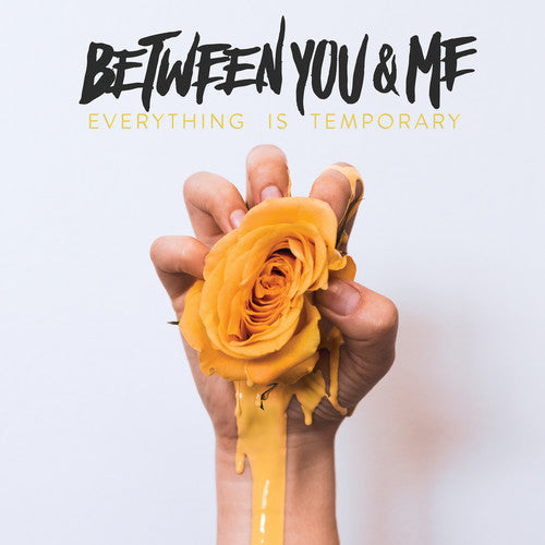 Between You & Me: Everything Is Temporary { Vinyl LP }
