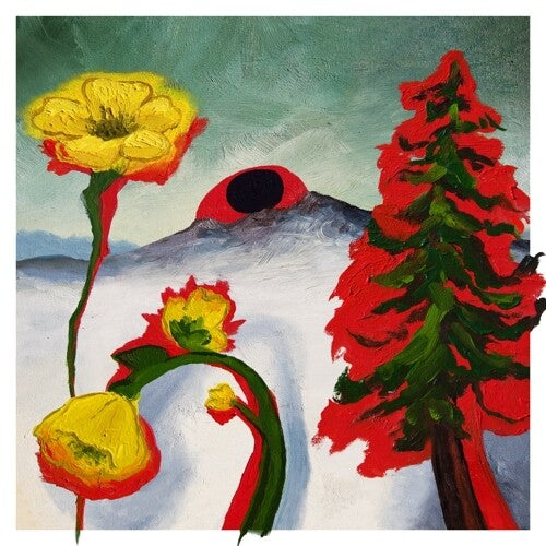 Woods: Strange To Explain { Vinyl LP }