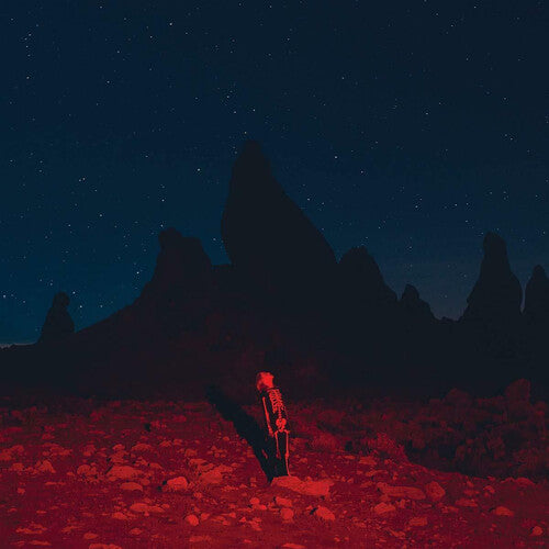 Phoebe Bridgers: Punisher { Vinyl LP }