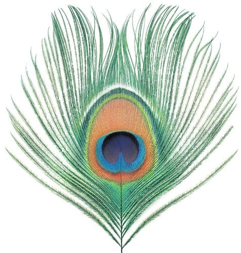 XTC: Apple Venus Vol 1 { Vinyl LP }