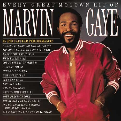 Marvin Gaye: Every Great Motown Hit Of Marvin Gaye: 15 Spectacular Performances { Vinyl LP }
