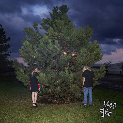 100 gecs: 1000 Gecs { Vinyl LP }