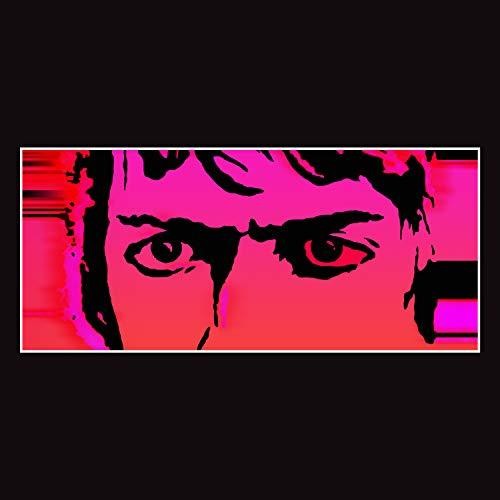 Delicate Steve: Till I Burn Up { Vinyl LP }