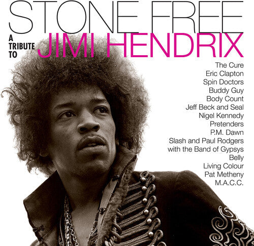 Jimmy Tribute Hendrix: Stone Free: Jimi Hendrix Tribute { Vinyl LP }