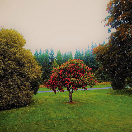 The Bats: Foothills { Vinyl LP }