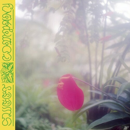 Jabu: Sweet Company { Vinyl LP }